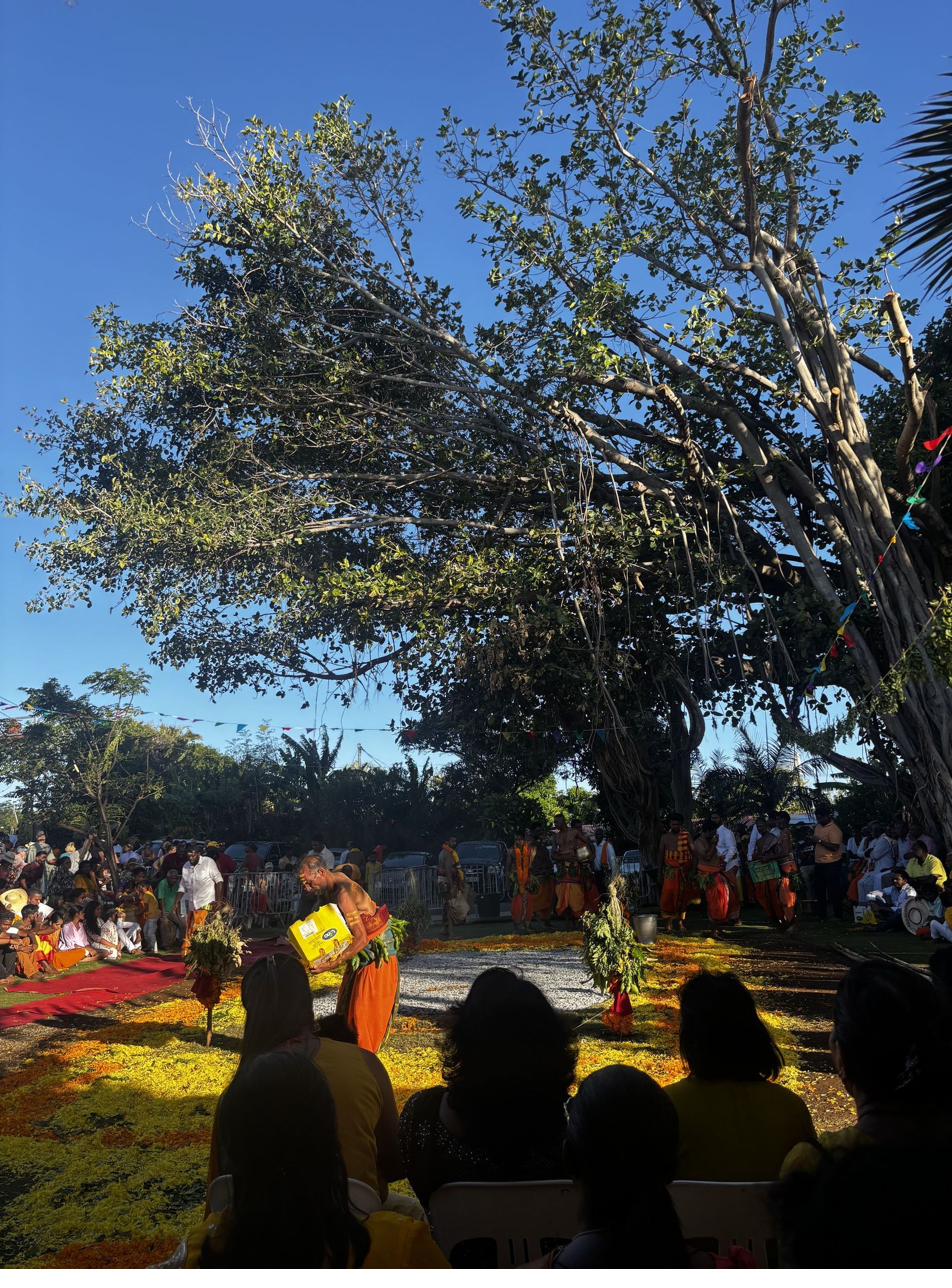 Hindu fire-walking ceremony in Reunion Island