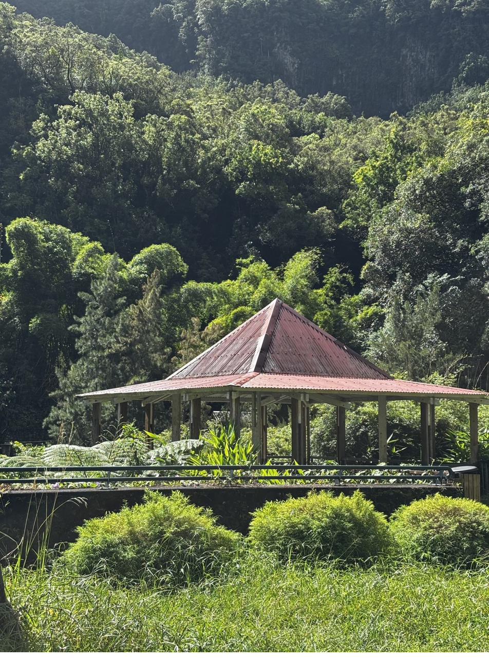 A small kiosk surrounded by forest in Salazie, Reunion Island